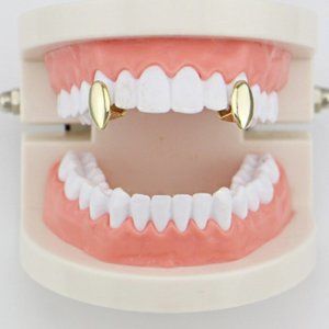 18k Gold Plated Hiphop Teeth Grills